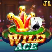 Wild Ace arina plus bonus game